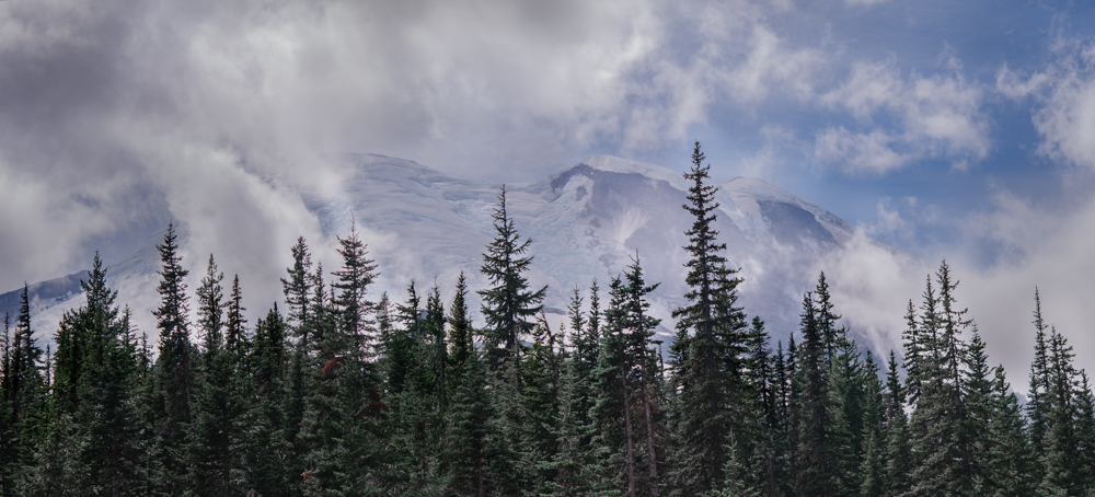 DSC_7935-Edit