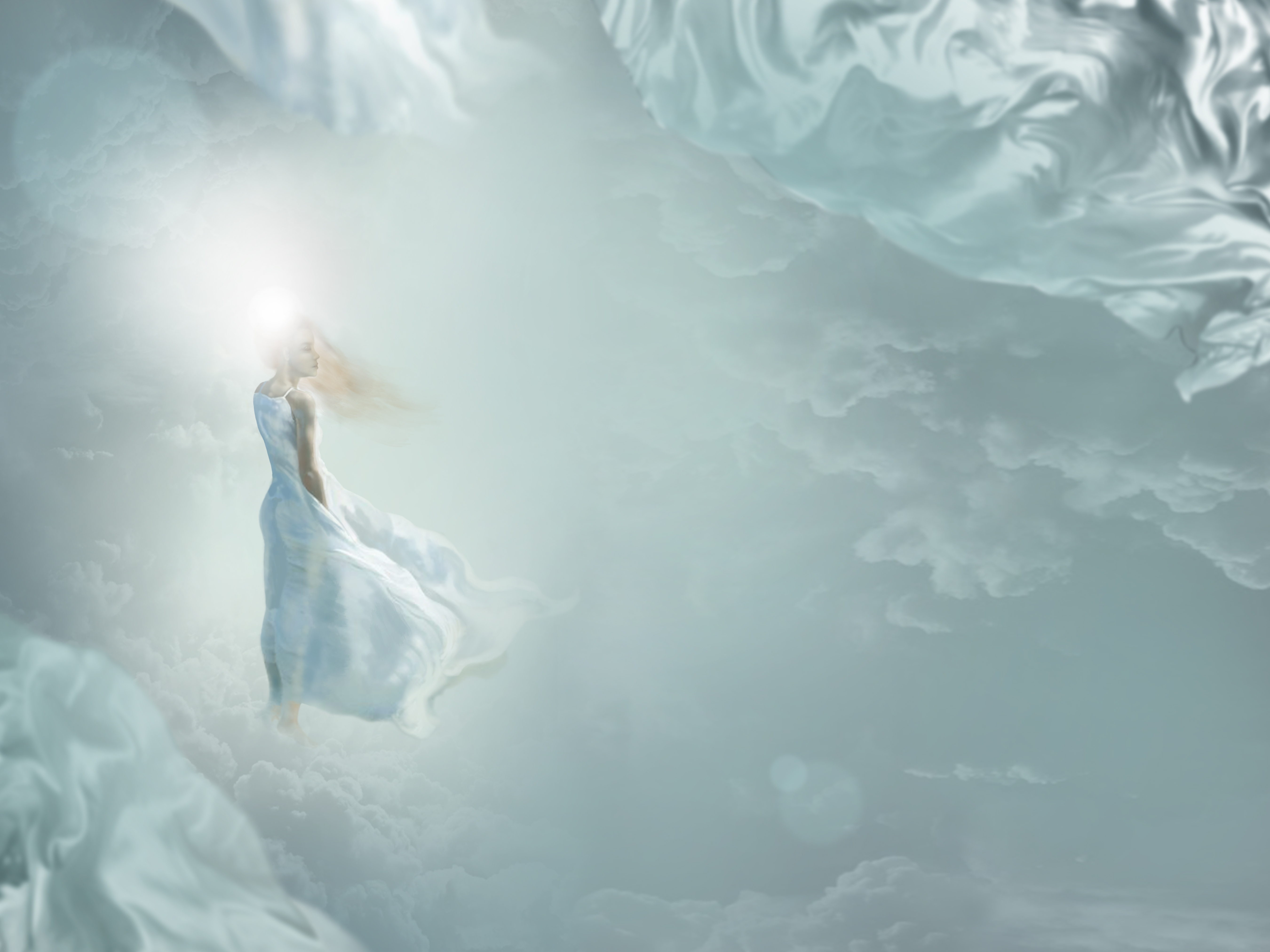 videomeet_MCP_APOA_cover_v2_spread