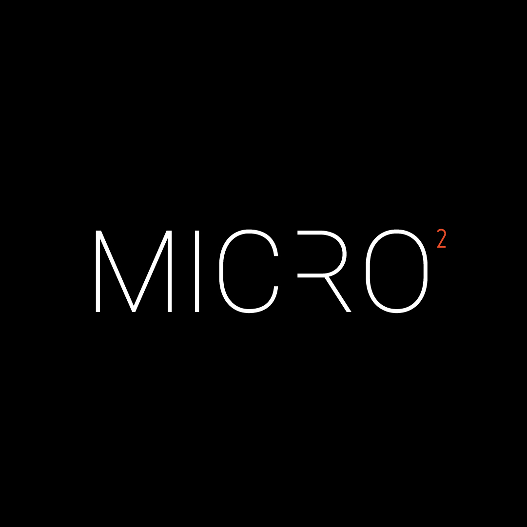 micro_logo